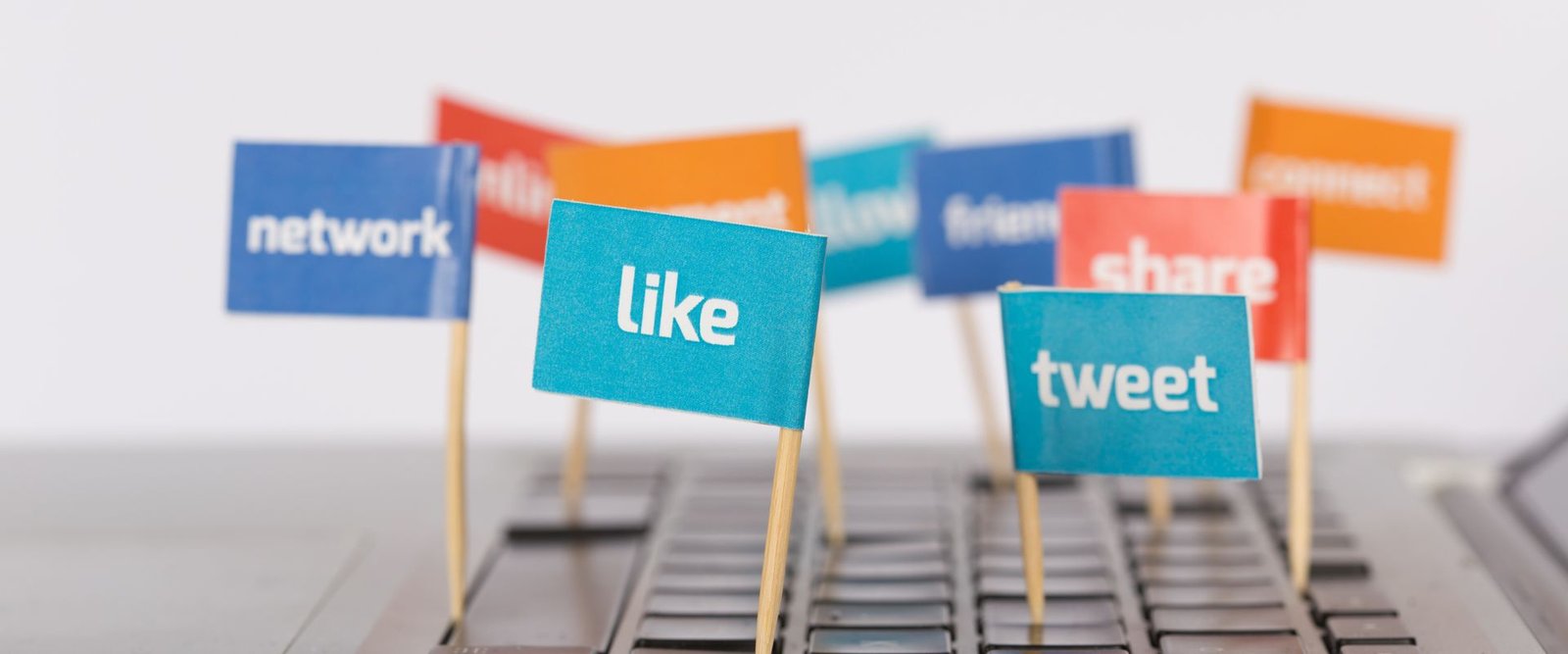 Social media marketing services in Gujranwala by WebMinds